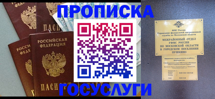 прописка гарантия в Окуловке